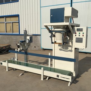 DCS-Z-W-50 Packing Machine