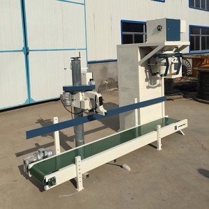 DCS-Z-W-50 Packing Machine